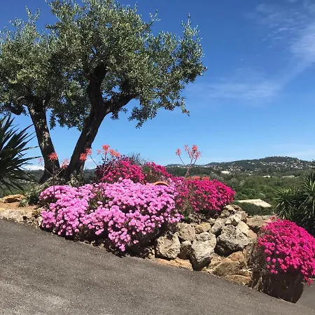 Villa 3 Bedrooms Near Cannes - Pool & Jacuzzi - Sea View