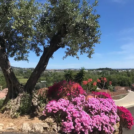 Villa 3 Bedrooms Near Cannes - Pool & Jacuzzi - Sea View Mandelieu