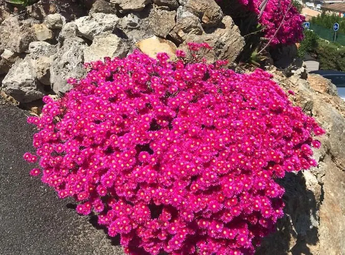 Villa 3 Bedrooms Near Cannes - Pool & Jacuzzi - Sea View Mandelieu-la-Napoule